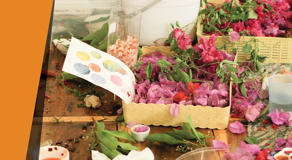 Ургамлан будаг