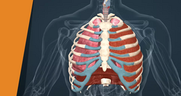 Гүнзгий амьсгаа аваарай