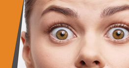 Харсан зүйлдээ битгий итгээрэй