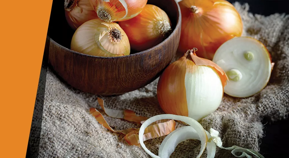 Нуугдсан талстууд