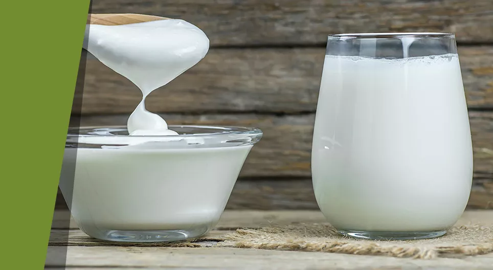 Хагас хатуу сүү